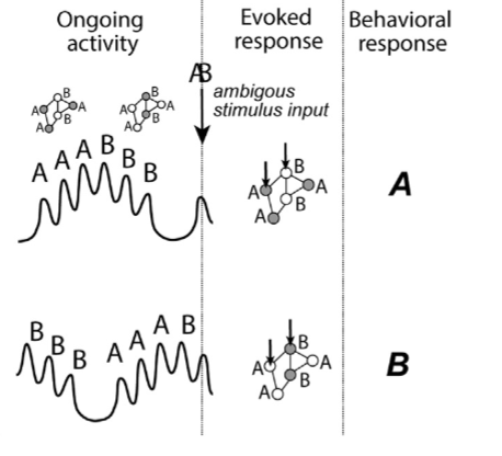 phase code